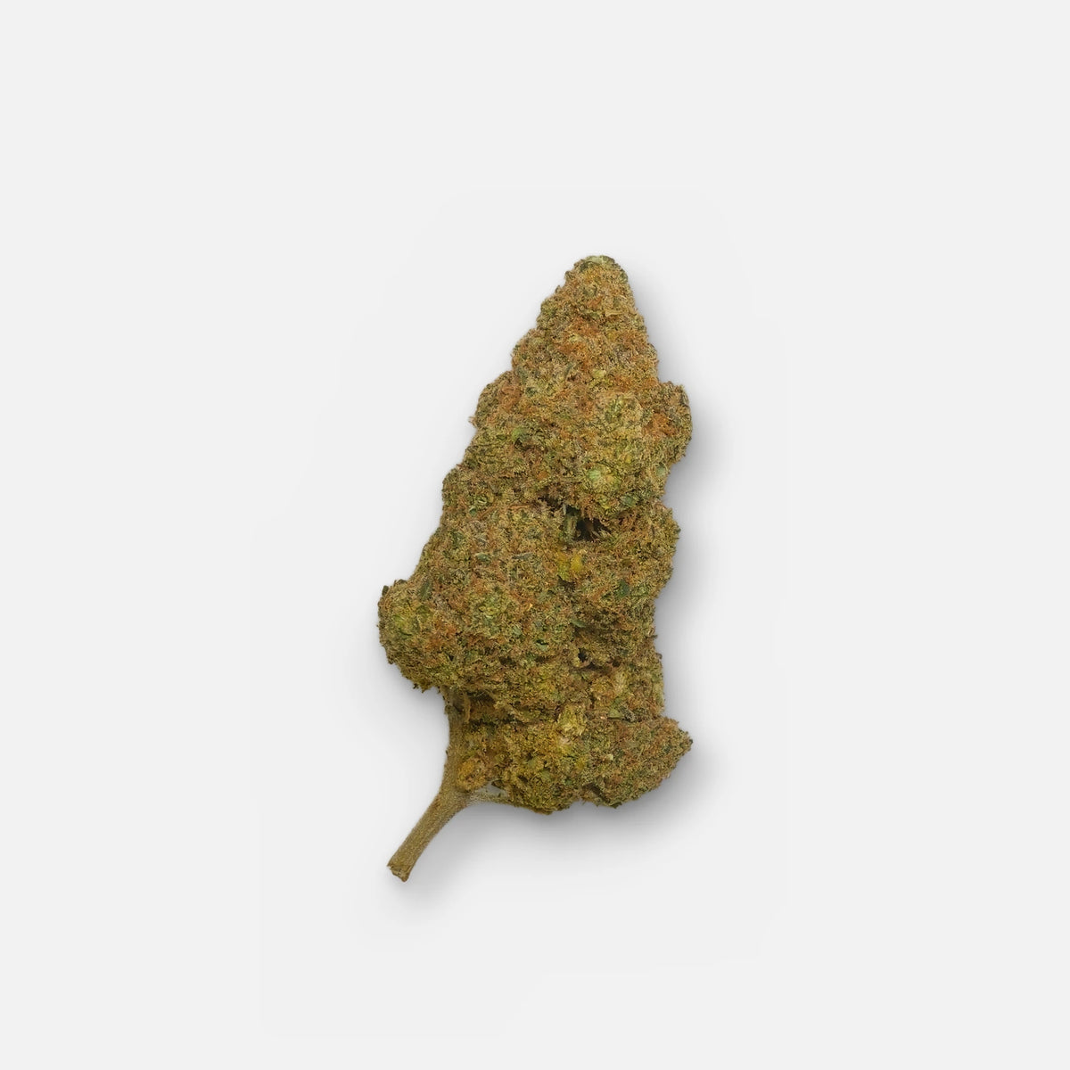 Blueberry Muffin CBD flower with 10 % CBD