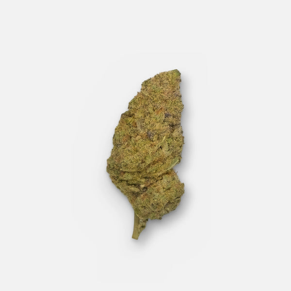 Oreoz CBD Blüte mit 10 % CBD – olivgrüne Blüte mit orangen Härchen und frostigen Trichomen, Ambinoid