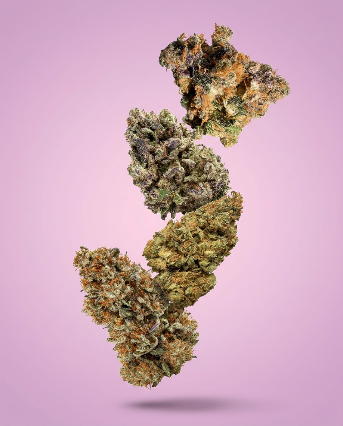 cbd flower
