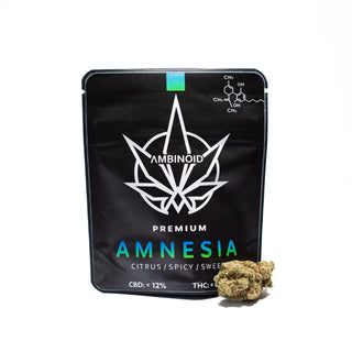 Amnesia CITRUS