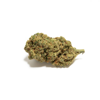 Amnesia CBD-Blüte, eine einzelne Blüte auf weißem Hintergrund