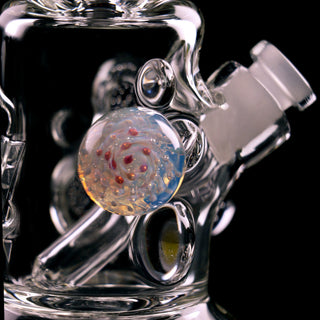 Dan Shelton Fat Rigs