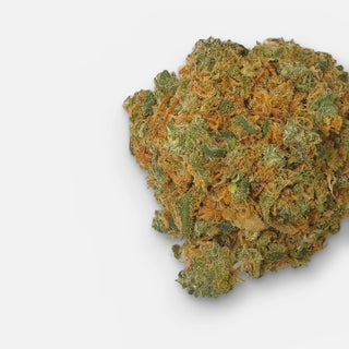 Lemon Butter Cake CBD flower with 11 % CBD, a single bud close up