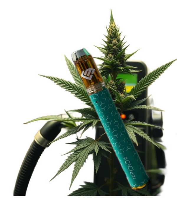 Lifter C3 Clear CBD-Vape-Pen in Petrol, vor einer blühenden Hanfpflanze