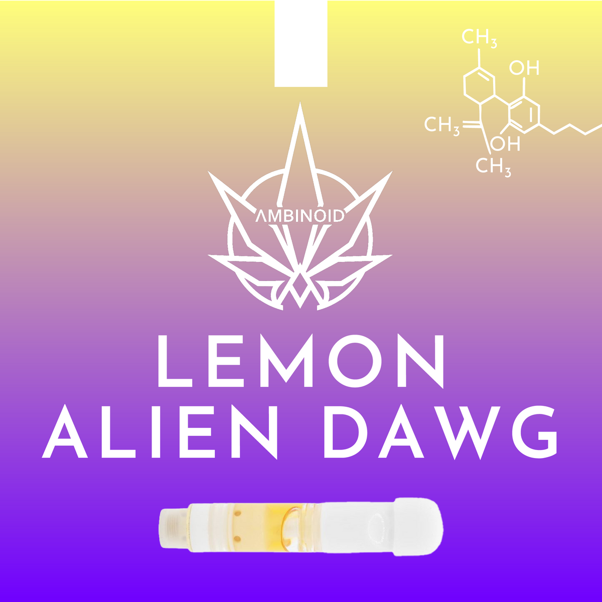 New Labels-02