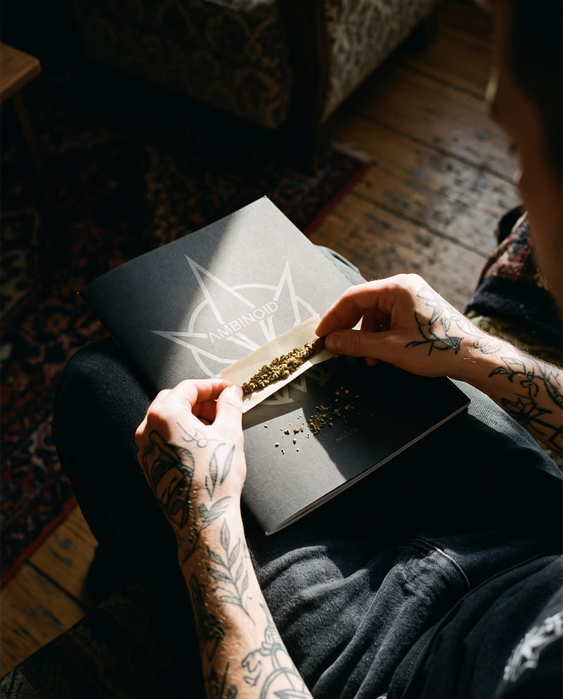 Tattooed hands rolling CBD flower on an Ambinoid brochure.