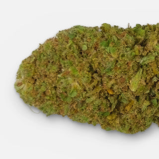 Tangie CBD flower, a single bud close up