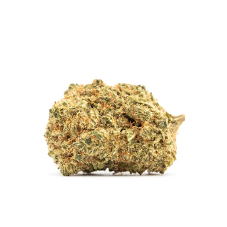 Tropicana CBD-Blüte, eine einzelne Blüte in Nahaufnahme